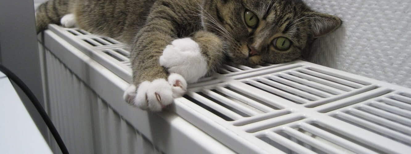 Radiator Repairs